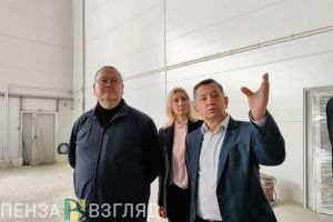 Губернатор Мельниченко посетил строящийся ФОК на Стрельбищенской улице в Пензе
