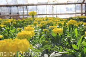 В Пензе открыли первый клуб юных натуралистов