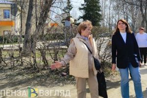 Жители пензенского микрорайона Маяк пожаловались Лазуткиной на благоустройство