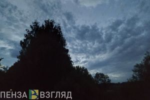 В Пензенской области разыскивают без вести пропавшую пенсионерку