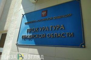 Прокуратура организовала проверку по факту падения пятилетнего пензенца из окна