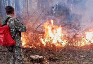 За три дня в Пензенской области случилось четыре лесных пожара