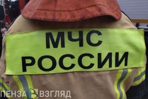 Смертельный пожар, массовое отключение света и новые питомцы в зоопарке — новости Пензы и области за 3 мая
