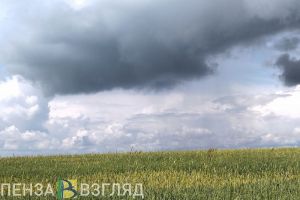 Несанкционированный БПЛА, анонс отключений света и ремонт школы: новости Пензенской области за 10 мая
