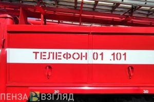 За неделю в Пензенской области произошло 48 пожаров