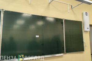 Пензенцев призвали не отправлять больных детей на экзамены