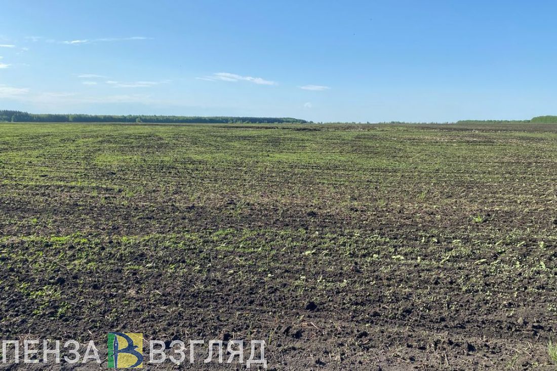 Олег Мельниченко сообщил о целях по введению земель в аграрный оборот