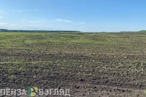 Олег Мельниченко сообщил о целях по введению земель в аграрный оборот