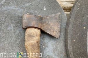 Житель Шемышейки может сесть в тюрьму на 2 года за убийство косули