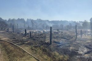 В Бессоновском районе сгорели несколько хозпостроек и 1,5 га травы