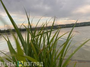 В Кузнецком районе утонул ребенок