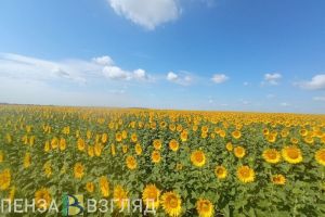 32-градусная жара, список мест для купания и спасение ребенка: новости Пензы и области за 29 мая