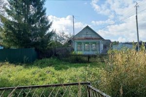 Гениальный лайфхак для дачников: нужны бутылки и колышки - поможет сохранить урожай