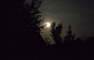 Новолуние уже скоро - астролог рассказала, что стоит делать в период растущей луны