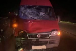 В Нижнеломовском районе водитель иномарки насмерть сбил мужчину
