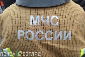 На прошедшей неделе в Пензенской области произошло 120 пожаров