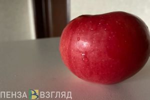 Пензенцы узнали, как власти решат проблему возможных скачков цен на яблоки
