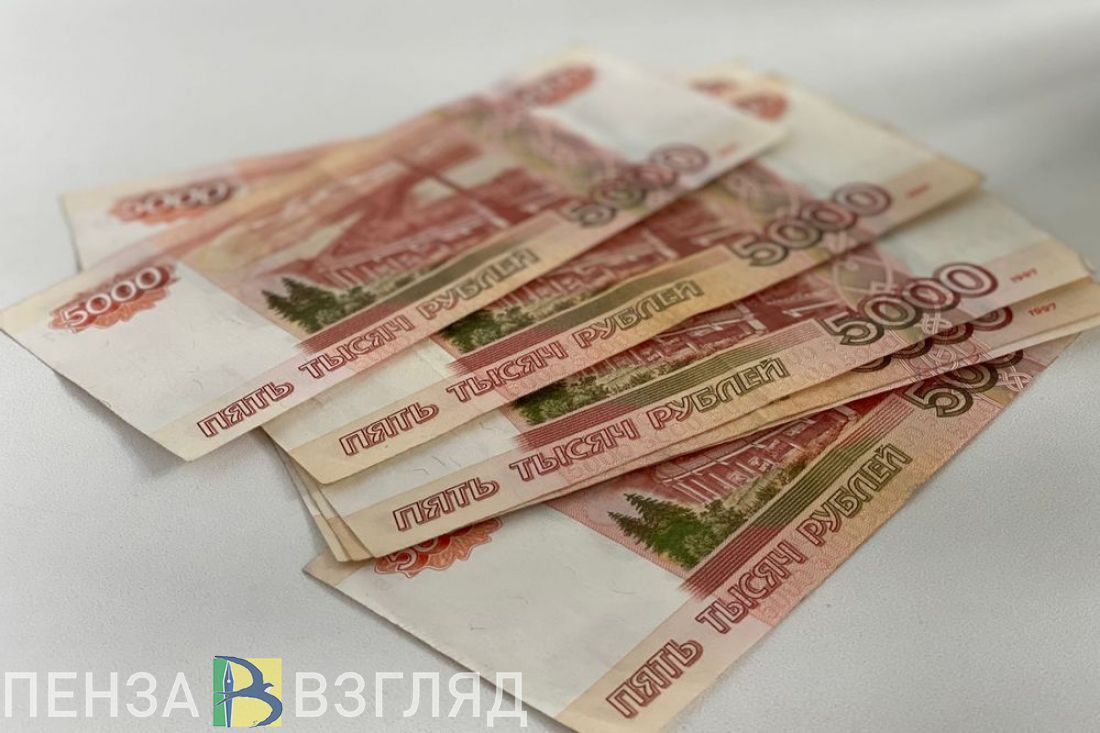 Пензенцам объяснили, на что пойдут налоги в случае их повышения