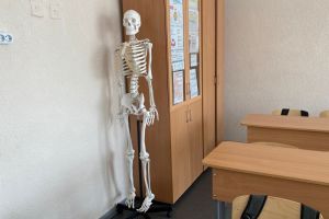 Отмена ЕГЭ: депутаты Госдумы подготовили документ