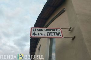 91 ребенок пострадал в ДТП в 2024 году в Пензенской области