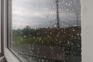«Опасная погода в самых густонаселенных районах»: Роман Вильфанд сделал прогноз