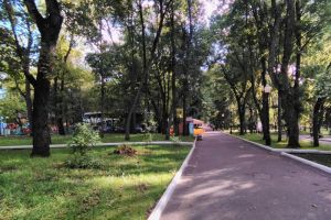 Жара и ливни: главный синоптик спрогнозировал изменчивую погоду на лето