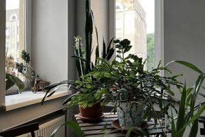Мастер фэншуй раскрыла секрет, какие приемы в интерьере укрепят здоровье жильцов
