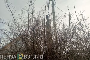 В Кузнецком районе нашли вора, совершившего кражу со взломом