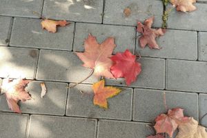 Астролог рассказала, в каком месяце рождаются люди-пророки