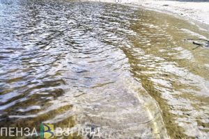 В Пензенской области выявили оборудованный пляж с грязной водой