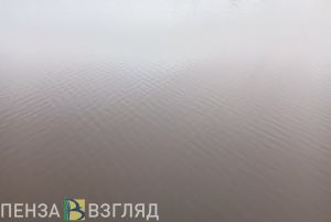 В 2024 году на водоемах в Пензенской области погиб один ребенок