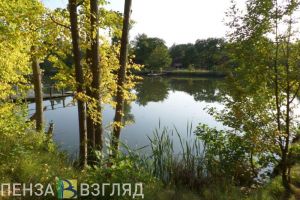 Порезы и сломанный позвоночник: чем пензенцам грозит купание на диких пляжах