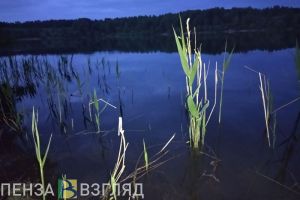 На Комаровском пруду в Кузнецком районе утонула женщина