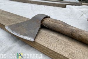 Бастрыкину представят доклад о проверке по факту вырубки деревьев в Ахунах
