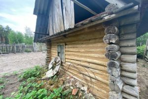 Чеснок может плохо храниться по трем причинам: есть ошибки, о которых нужно знать каждому огороднику