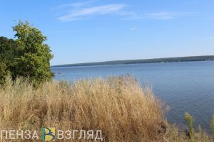Рядом с Пензенской областью сбили вражеский беспилотник