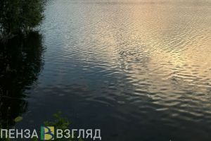 В Шемышейском районе утонул мужчина