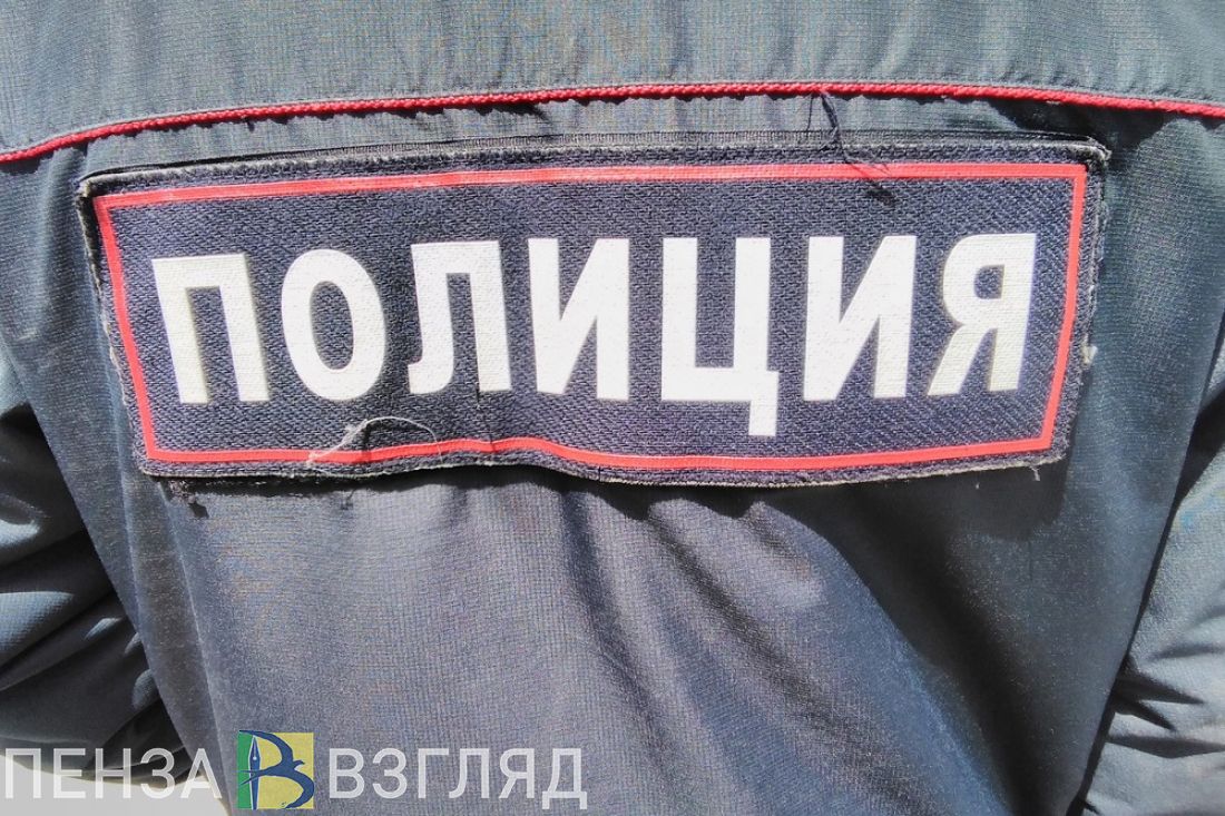 В Пензе составили социальный портрет среднестатистического преступника
