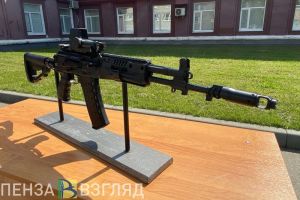 Суд заставит школу Бессоновки оснастить кабинет ОБЖ патронами к автомату и шиной