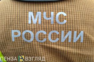В МЧС прокомментировали пожар на улице Клары Цеткин