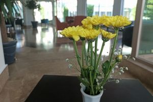 Вычет за детские путевки – уже предложили: выплата каждому родителю – россияне в ожидании