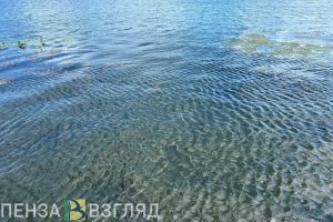 Нехватка учителей, гибель подростка в Беково, нарушения условий хранения рыбной продукции: новости Пензы за 20 июля