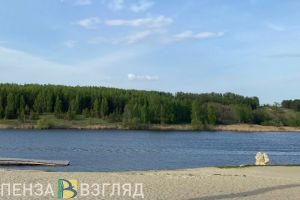 В Лопатинском районе утонул 7-летний мальчик