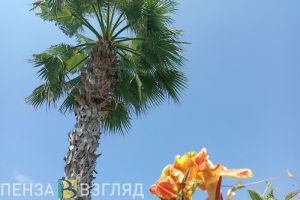 Пензенцам назвали 5 правил, как защититься от инфекций в сезон отпусков
