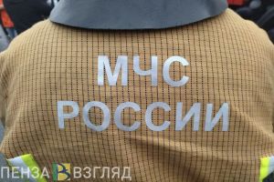 Смерть 7-летней девочки при пожаре, поиски беременной и массовое отключение света — новости Пензы и области за 25 июля