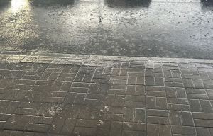 Интенсивные дожди: Вильфанд предупредил об угрозе - вода может подняться до опасных отметок