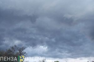 В Тамалинском районе от удара молнии погибла супружеская пара