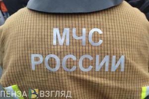 В Пензе из пожара в доме на улице Докучаева спасли двух человек