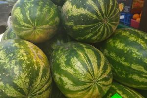 Свекровь ругается – не ем арбуз до корки: секрет сбережет здоровье – не нужно есть весь кусок