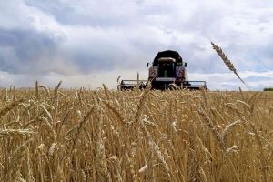 В Пензенской области собрали первый миллион тонн зерна